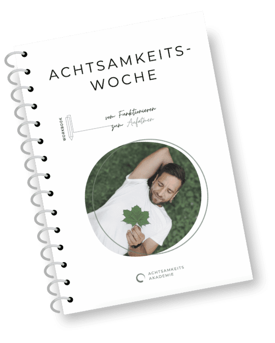 Workbook
